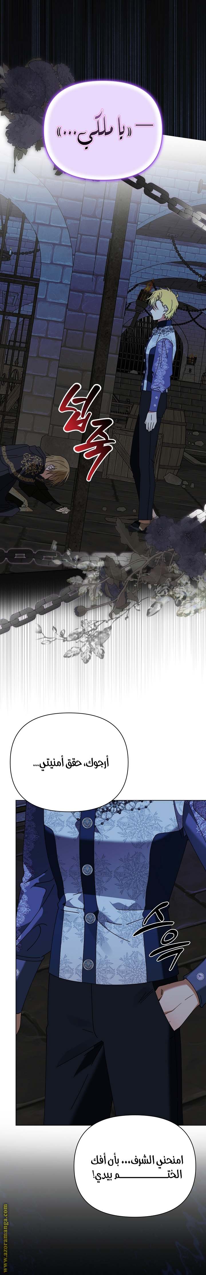 الصفحة 17