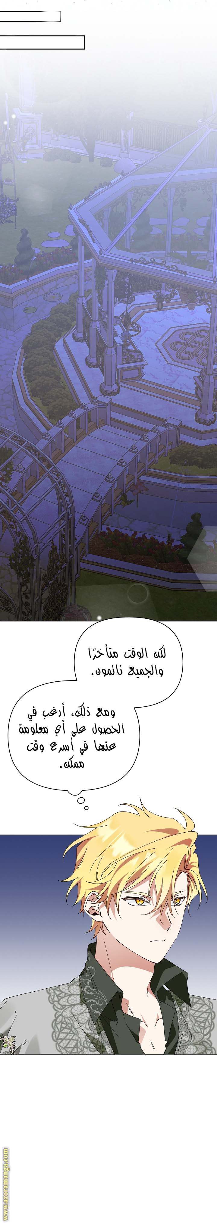 الصفحة 21