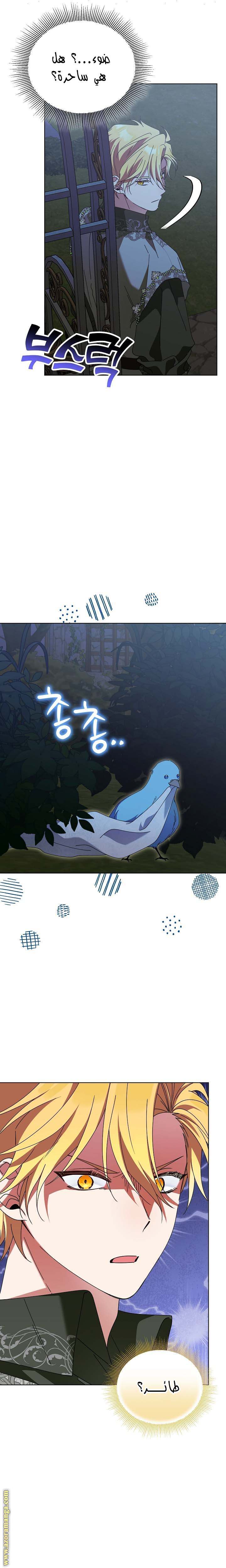 الصفحة 24