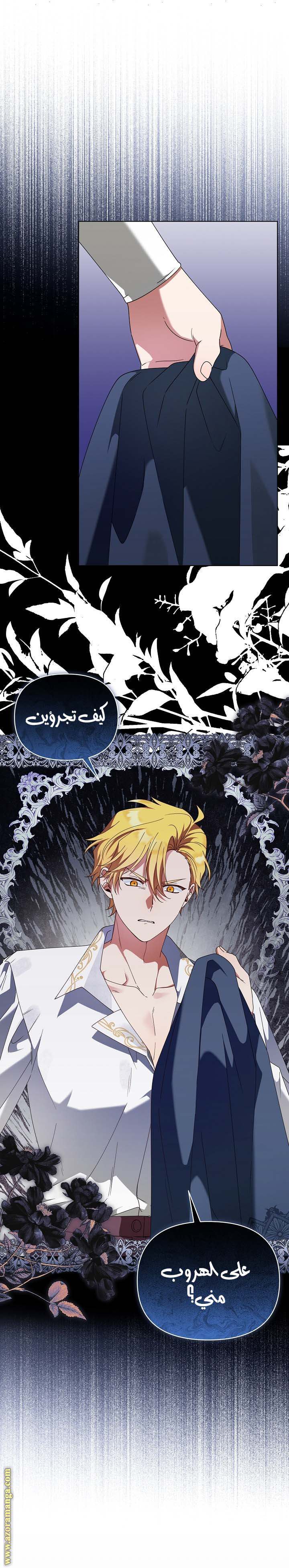 الصفحة 26