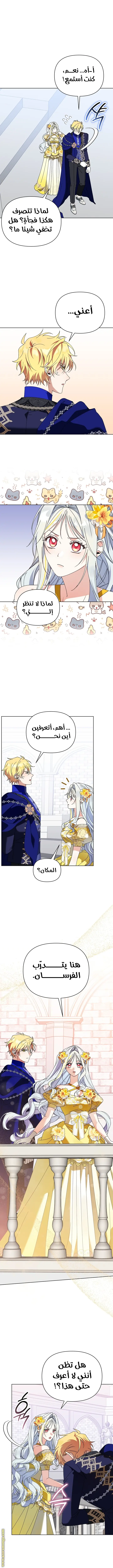 الصفحة 4