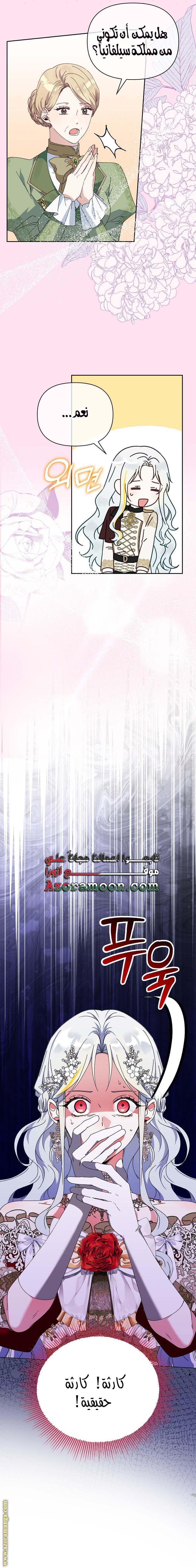 الصفحة 5