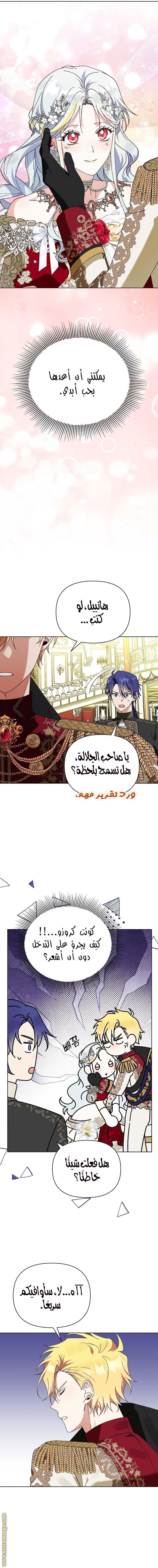 الصفحة 11