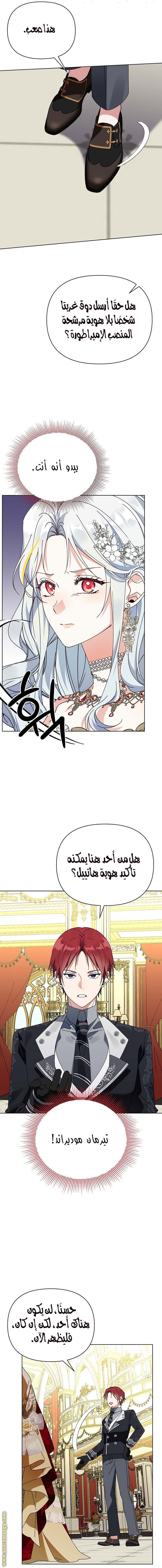 الصفحة 15
