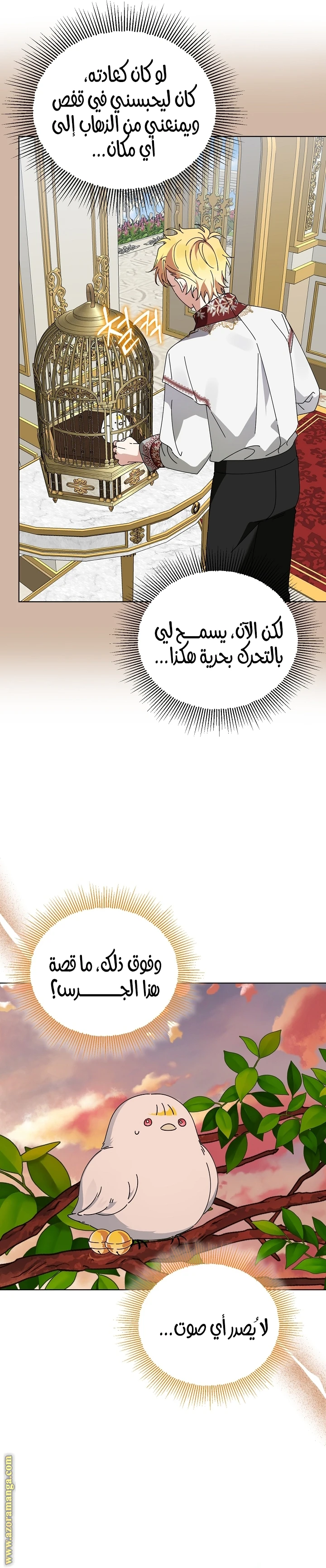 الصفحة 11