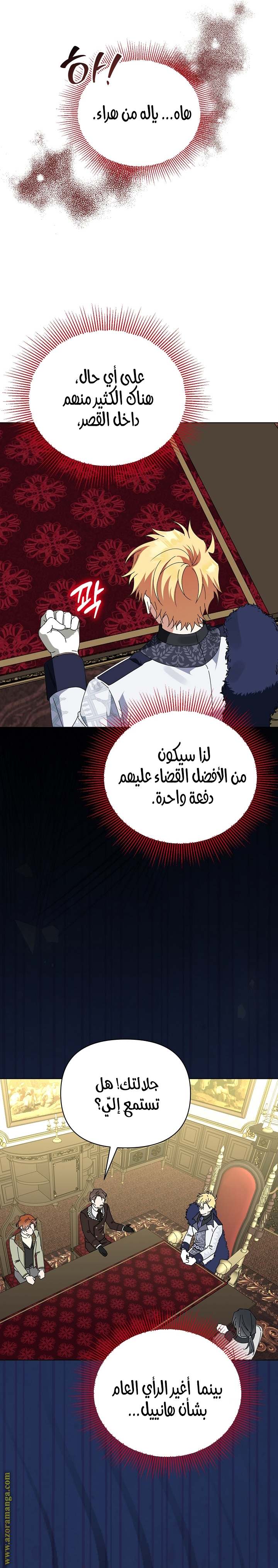 الصفحة 17