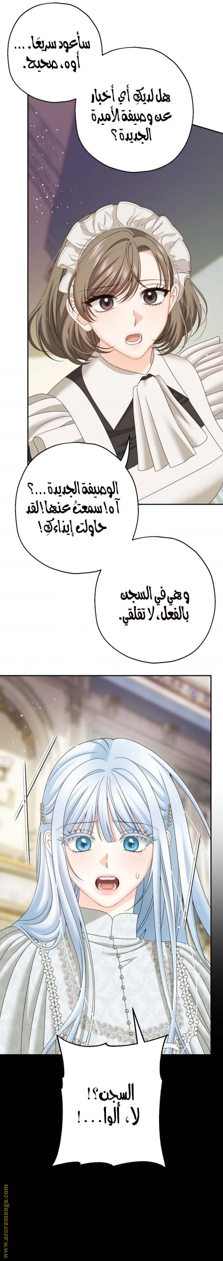 الصفحة 25