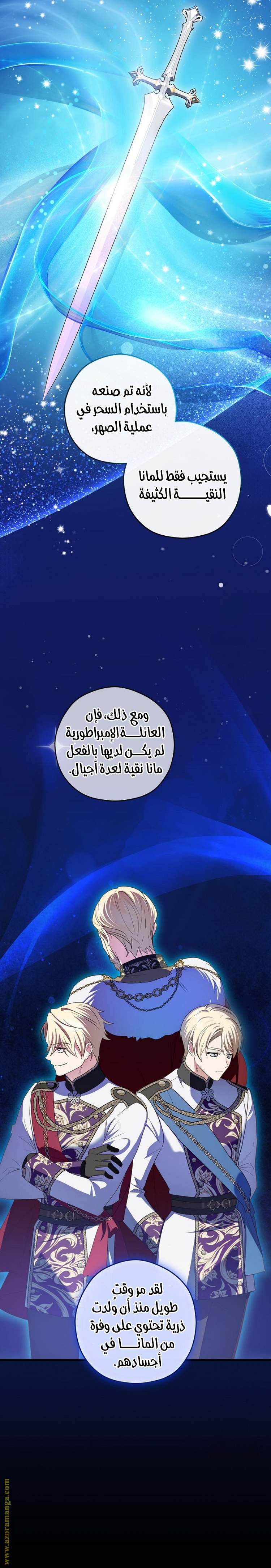 الصفحة 17