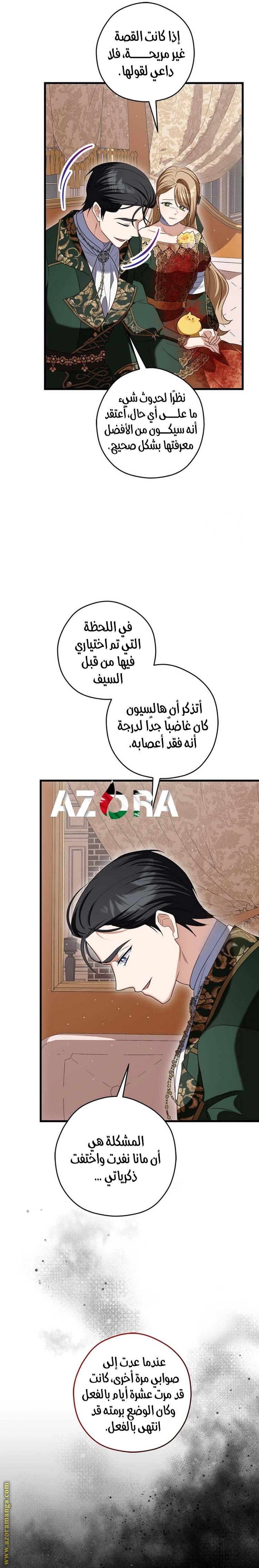 الصفحة 21