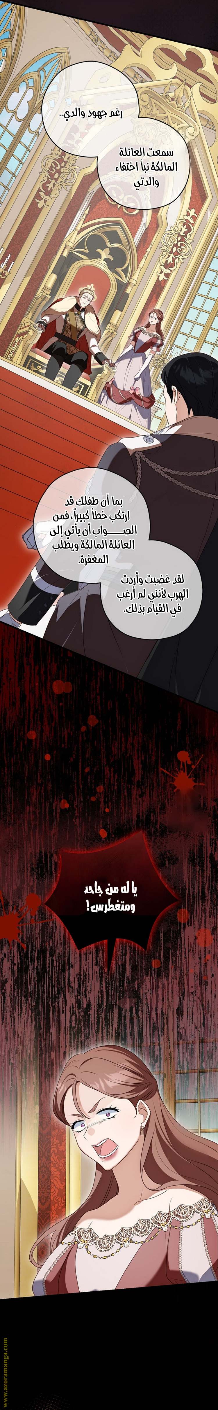 الصفحة 25
