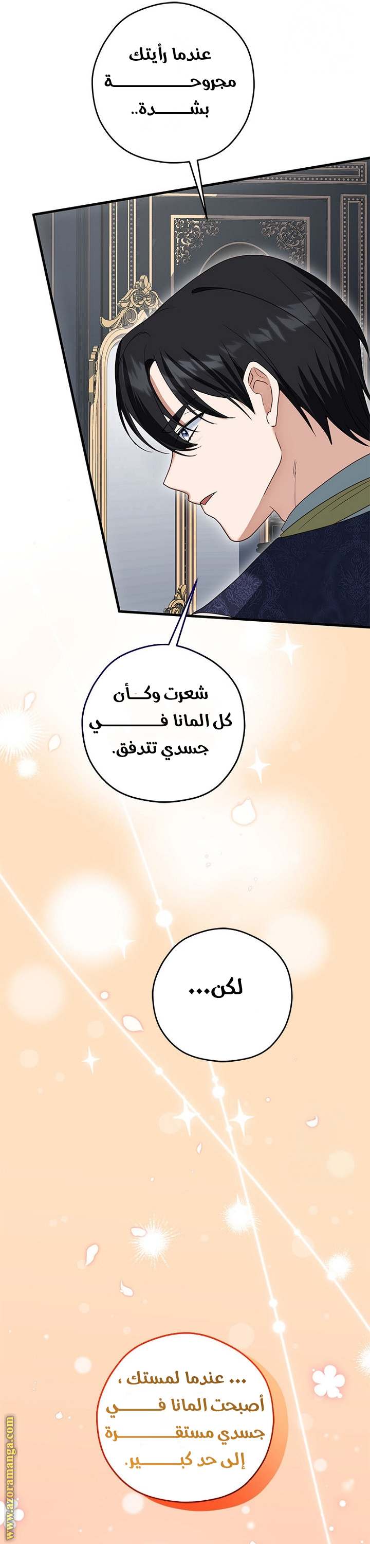 الصفحة 19