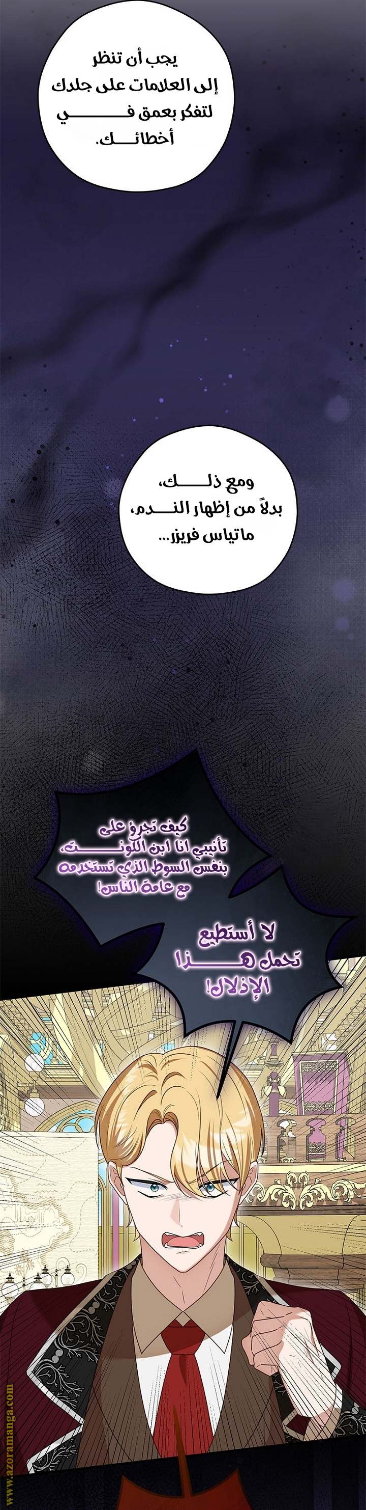 الصفحة 41