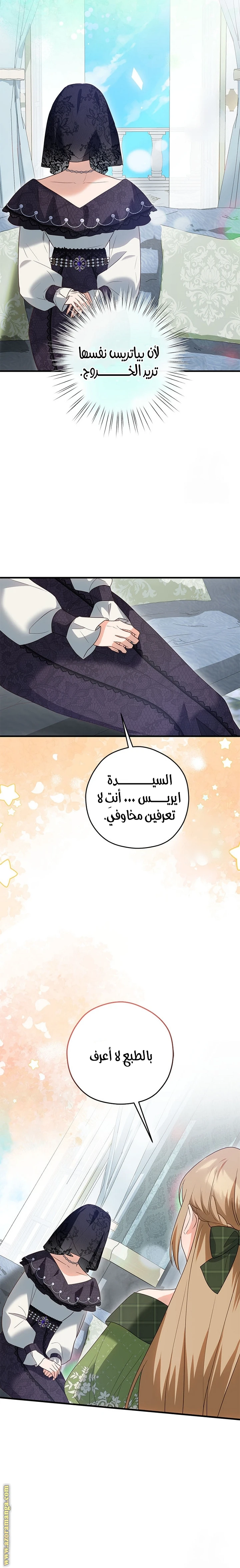 الصفحة 13
