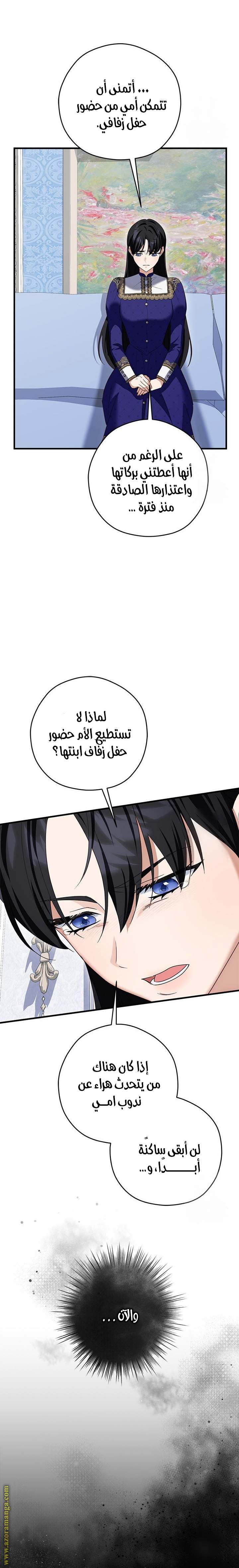 الصفحة 24