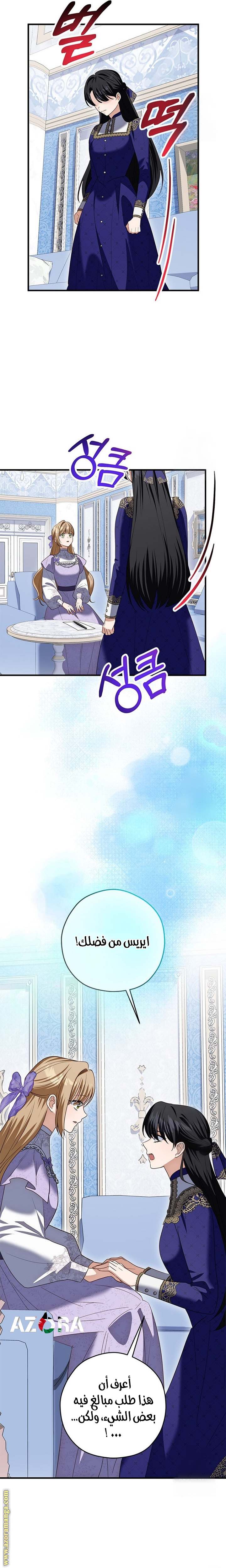 الصفحة 27