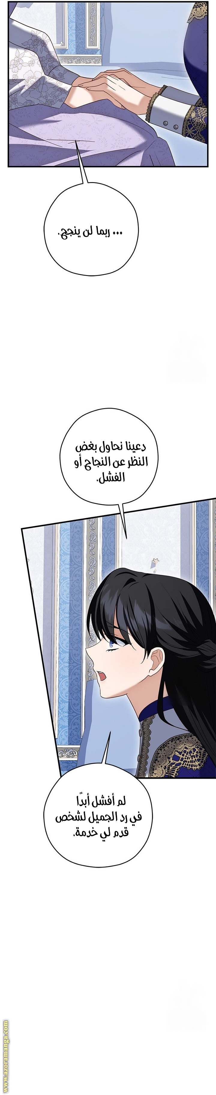 الصفحة 29