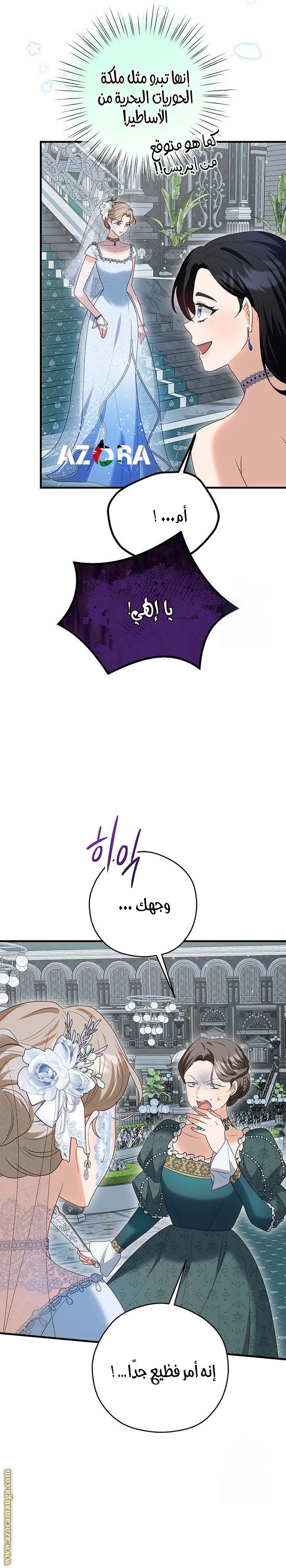 الصفحة 17