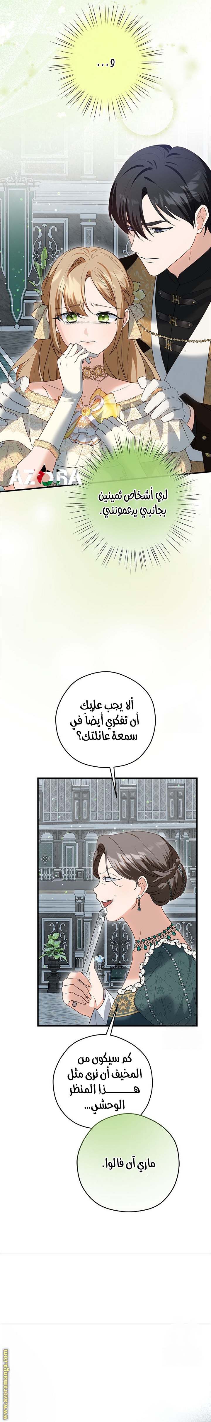 الصفحة 27