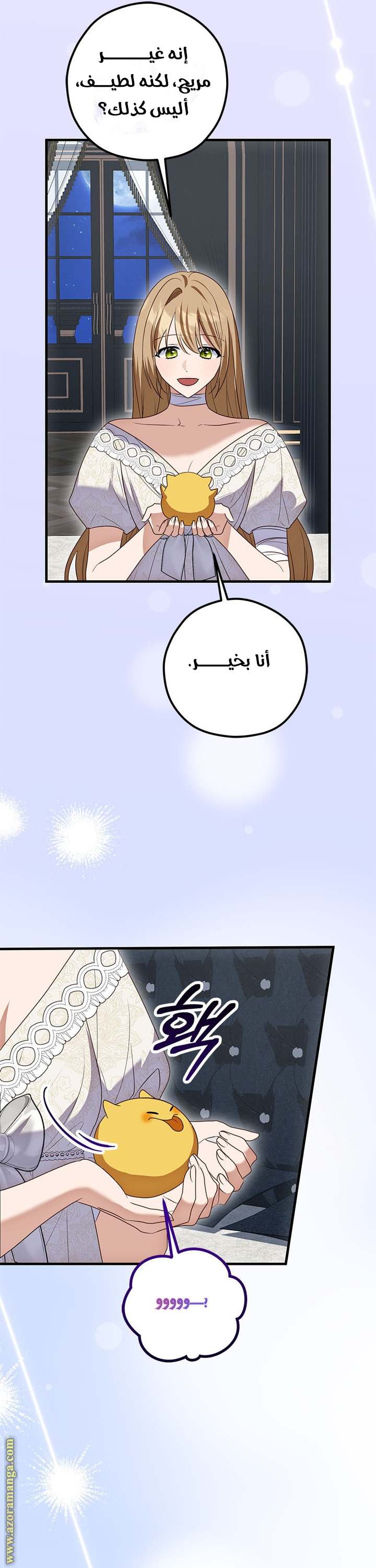 الصفحة 13