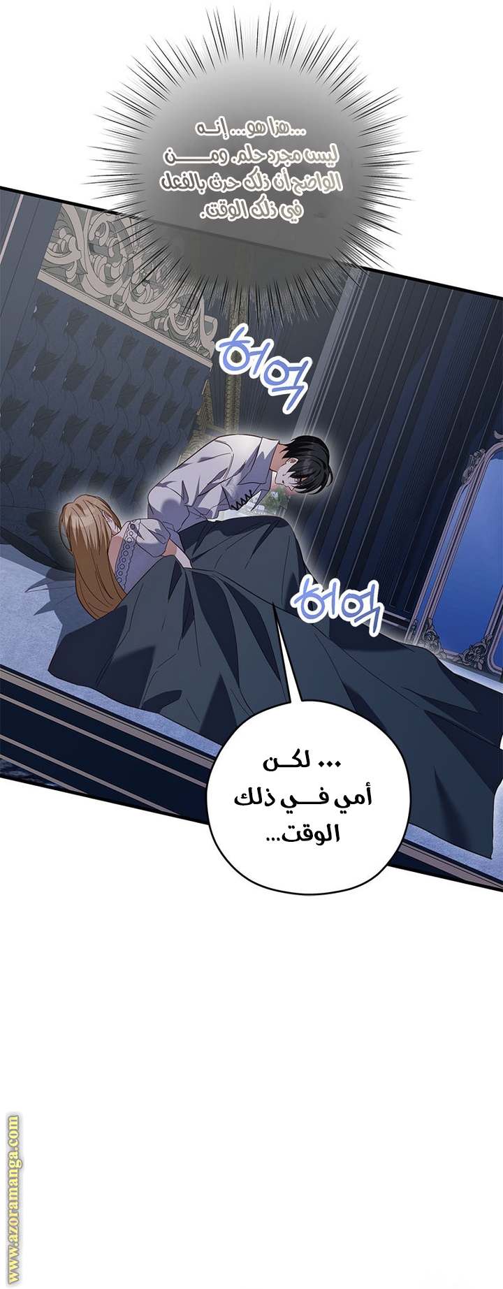 الصفحة 17