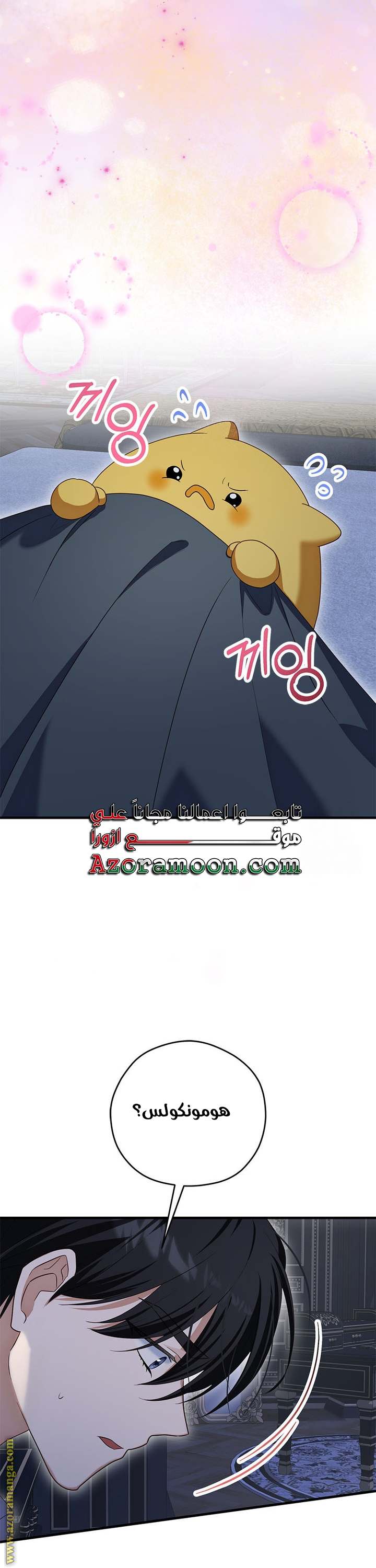 الصفحة 24