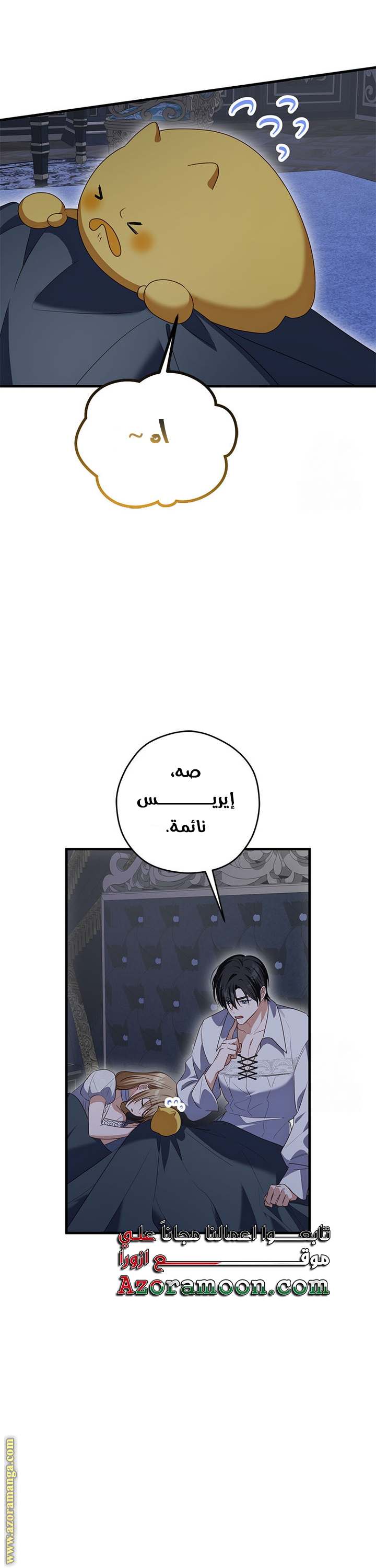 الصفحة 25