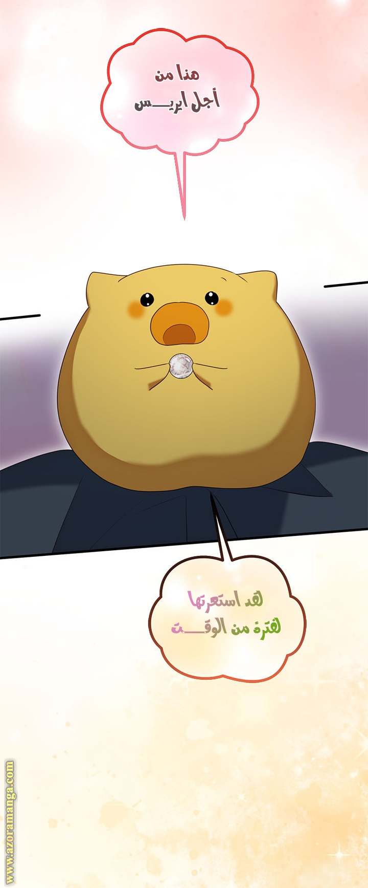 الصفحة 28