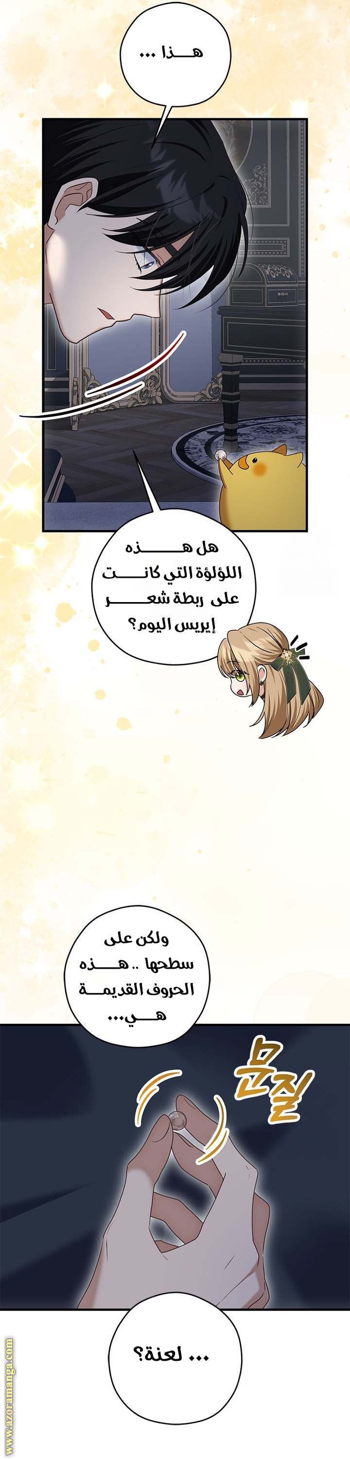 الصفحة 29