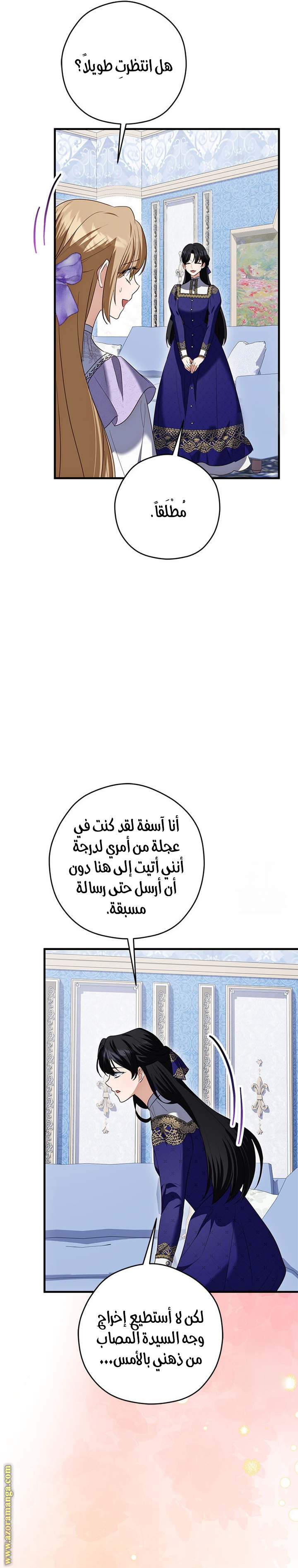 الصفحة 27
