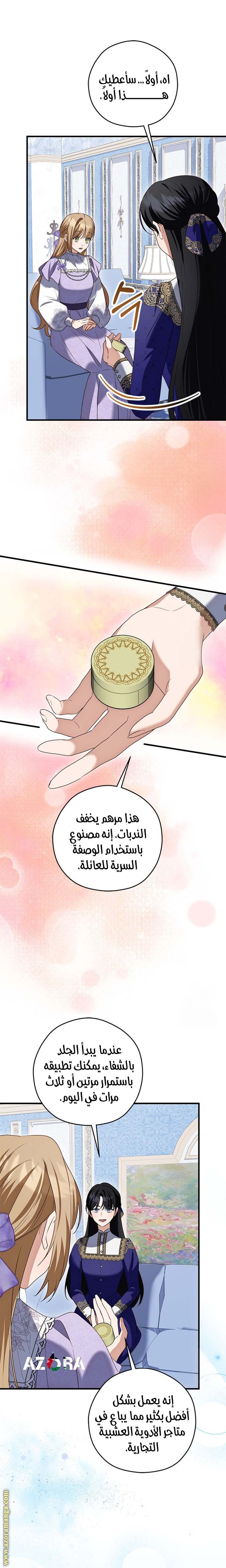 الصفحة 29