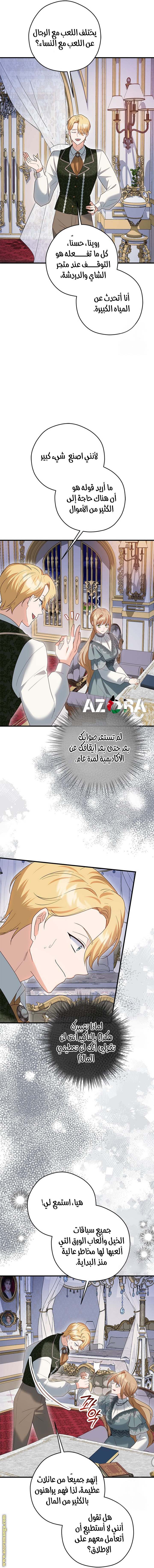 الصفحة 17