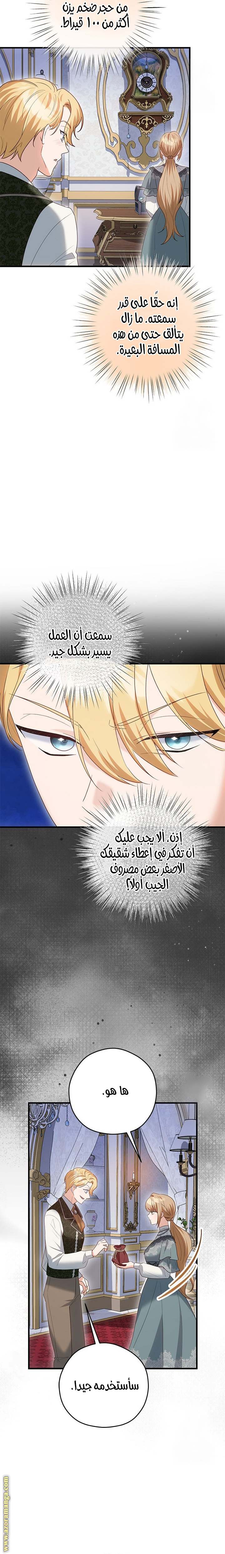 الصفحة 21