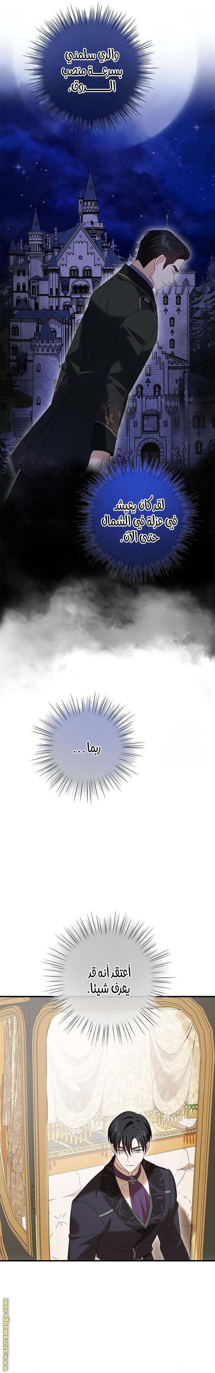 الصفحة 25