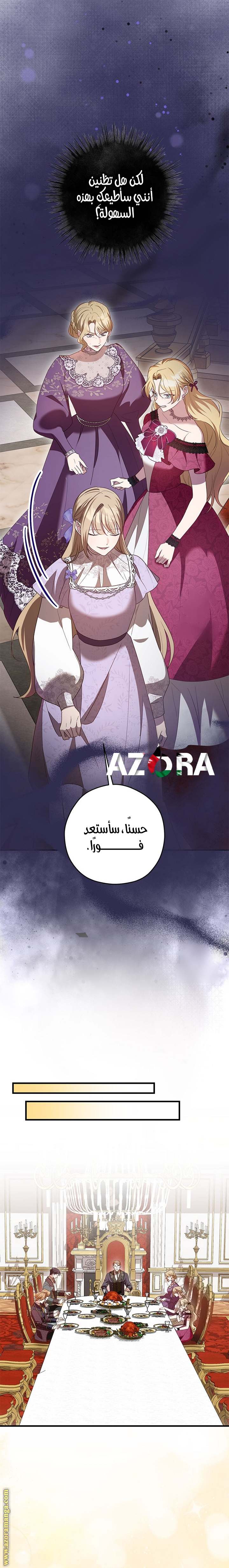 الصفحة 24