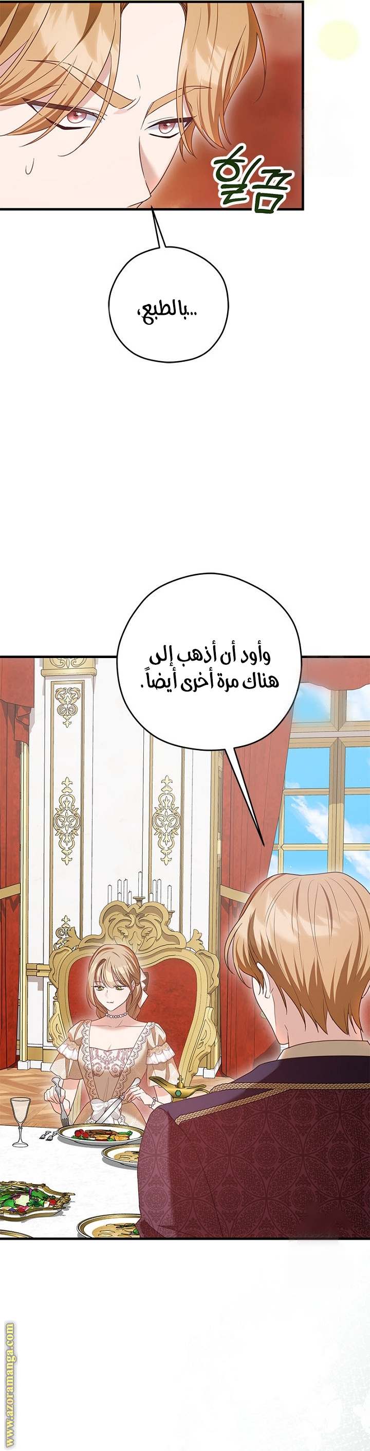 الصفحة 26