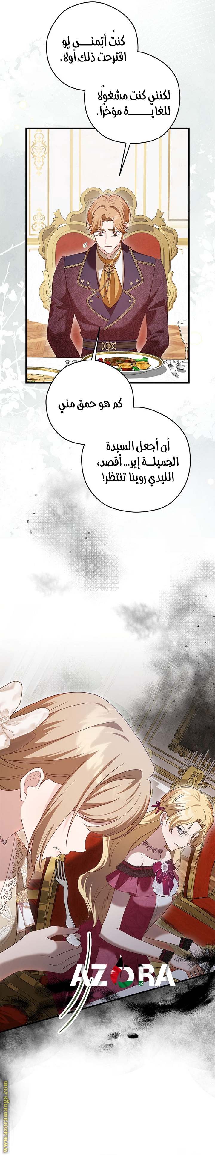 الصفحة 27