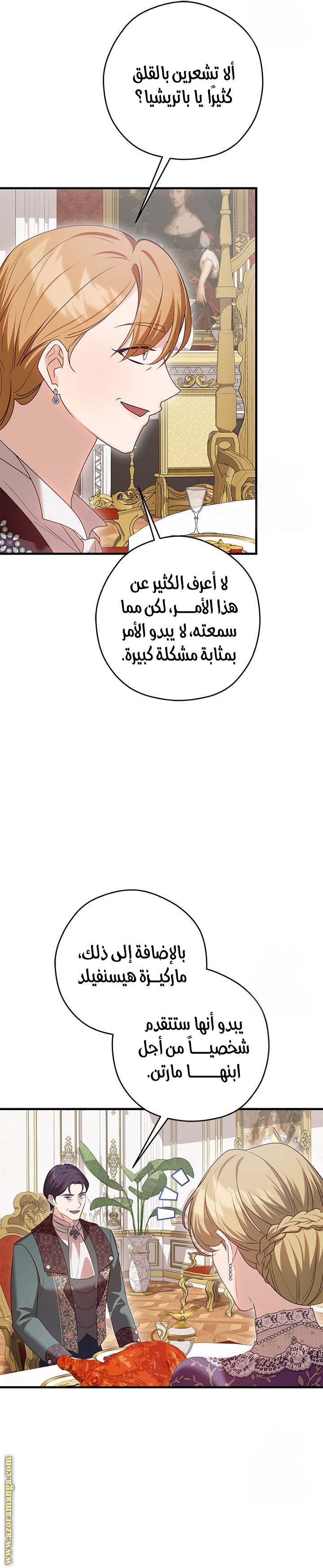 الصفحة 17