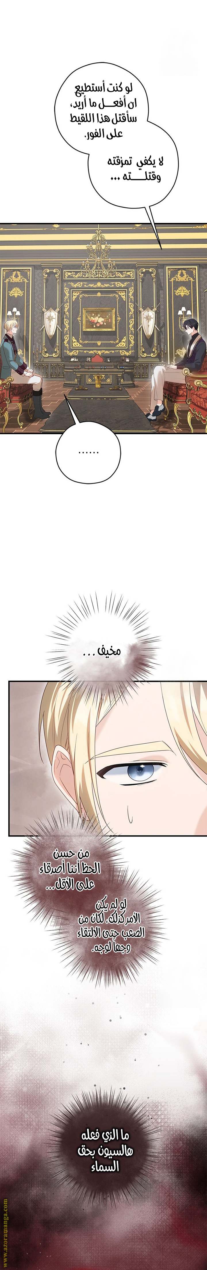 الصفحة 24