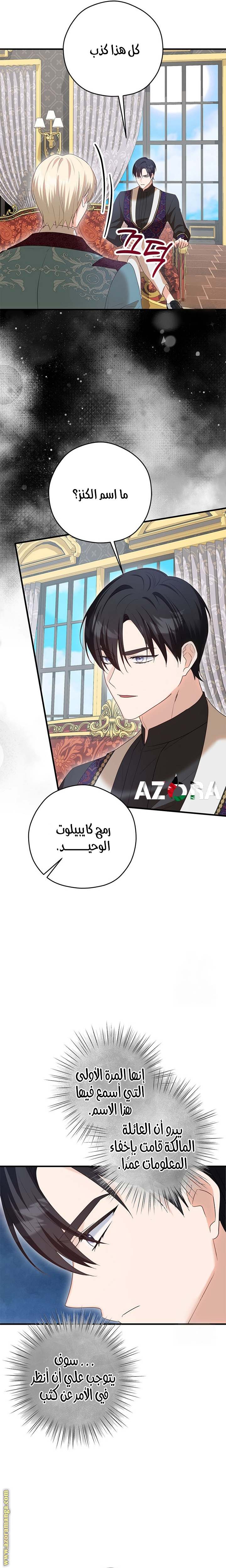 الصفحة 27