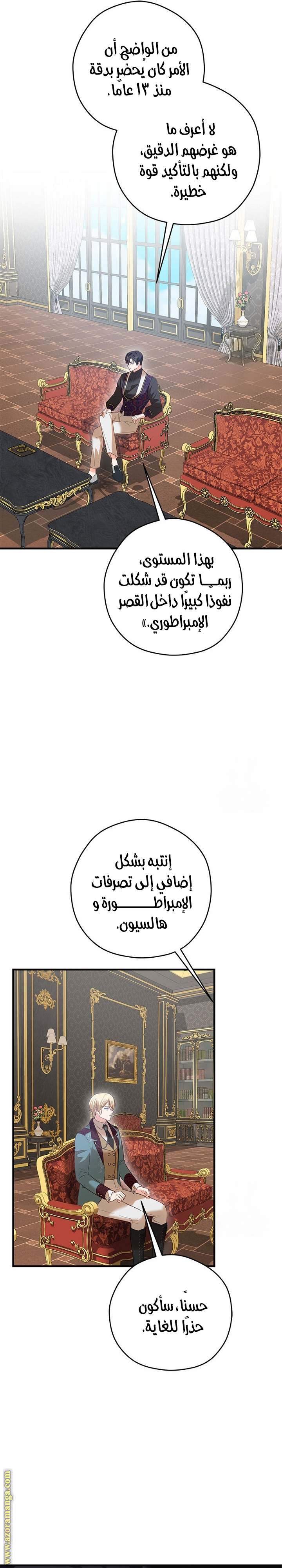 الصفحة 29