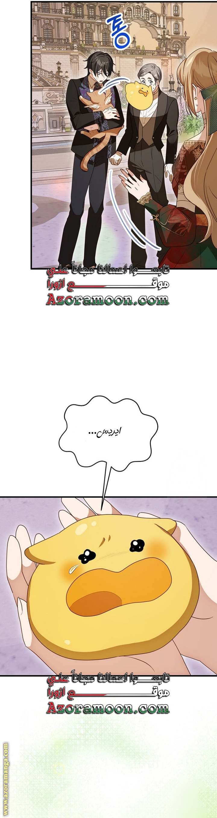 الصفحة 41