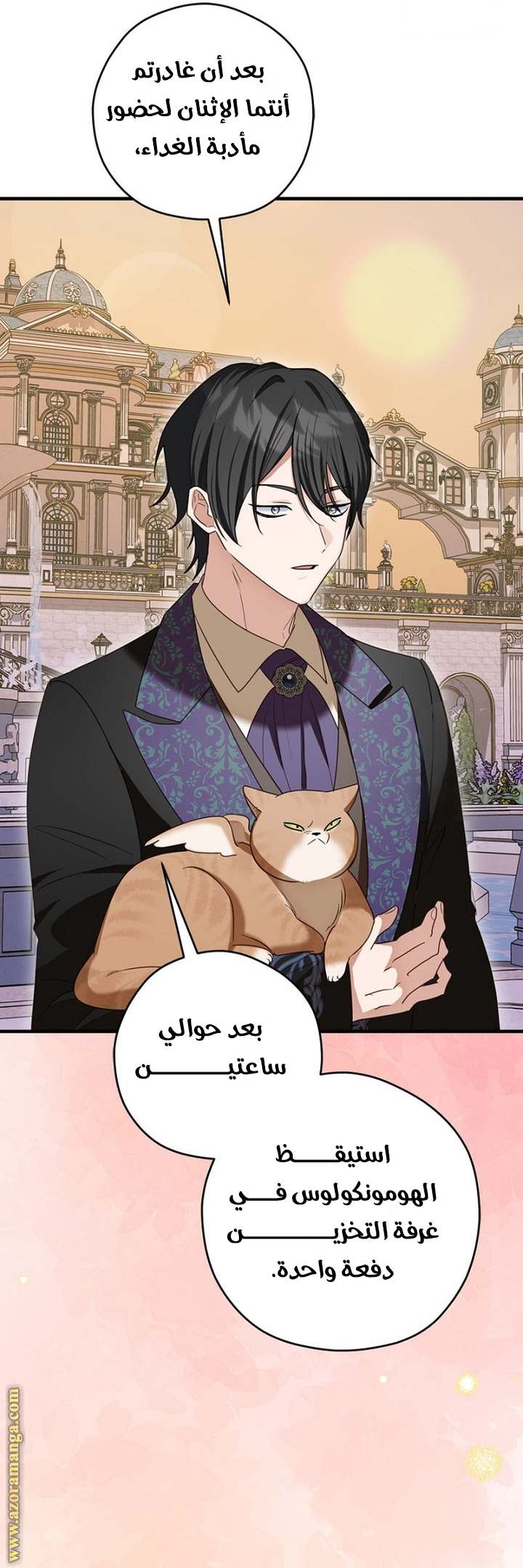 الصفحة 47