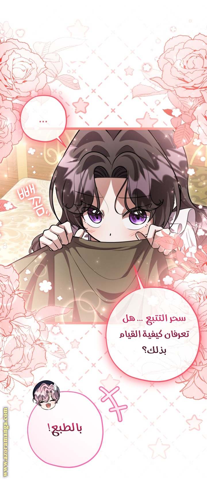 الصفحة 17