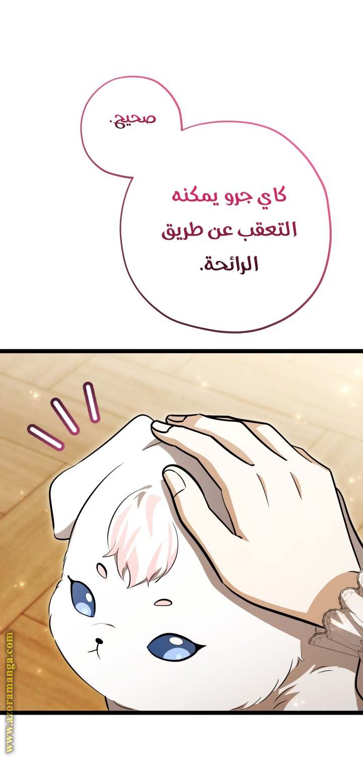 الصفحة 21