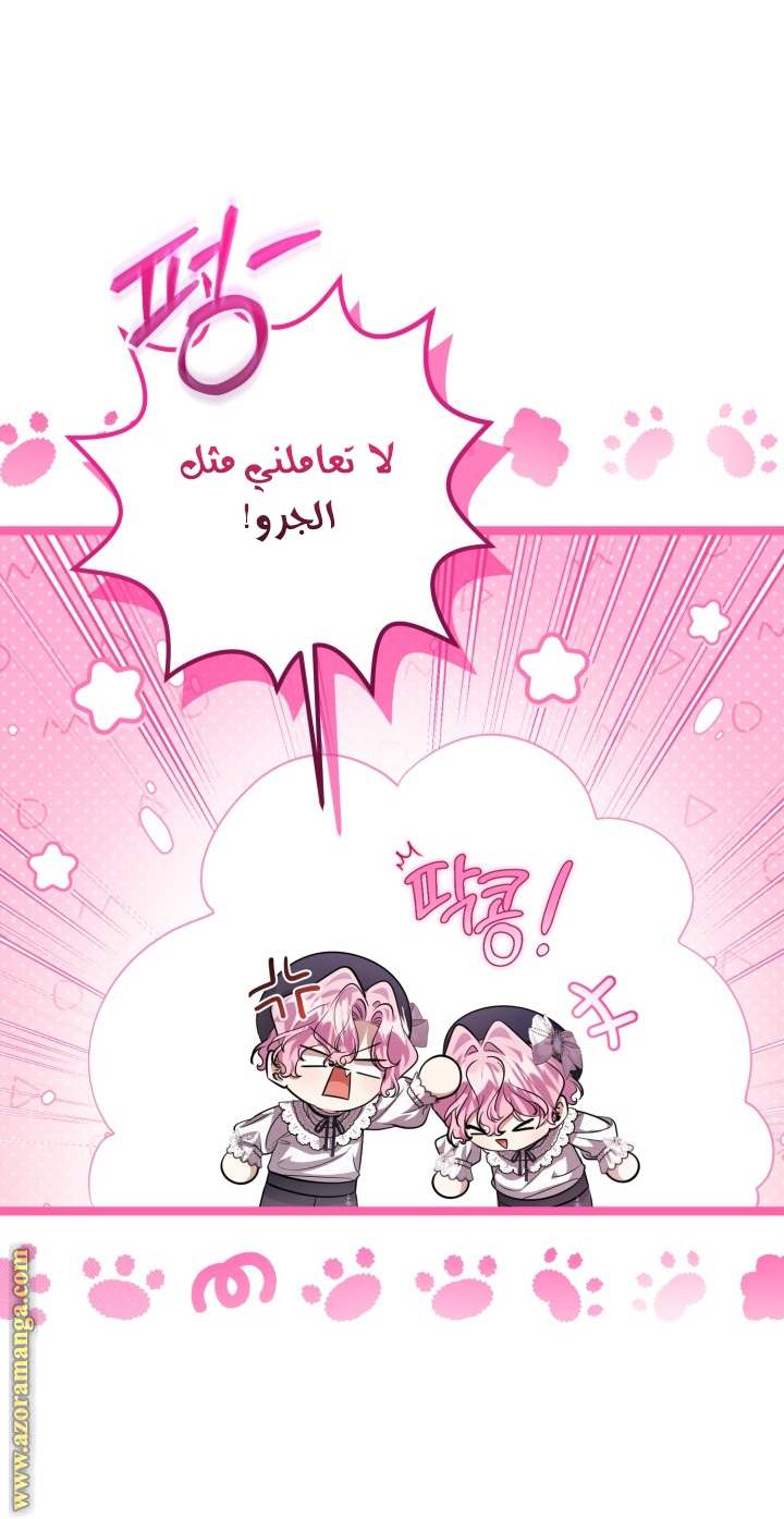 الصفحة 23