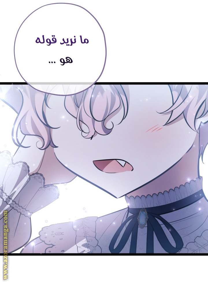 الصفحة 25