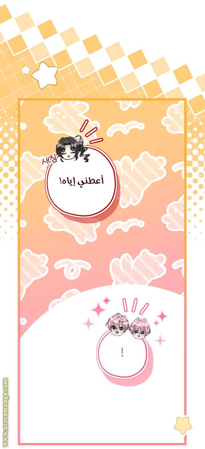 الصفحة 17