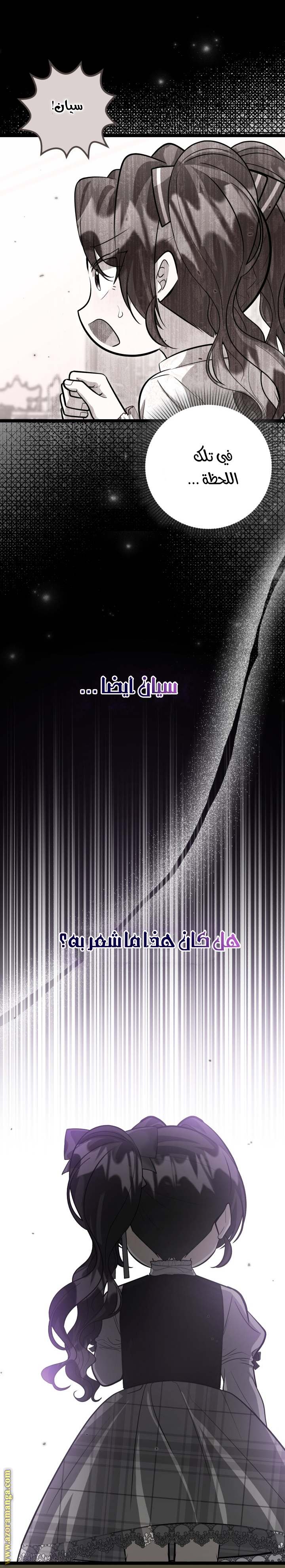 الصفحة 25