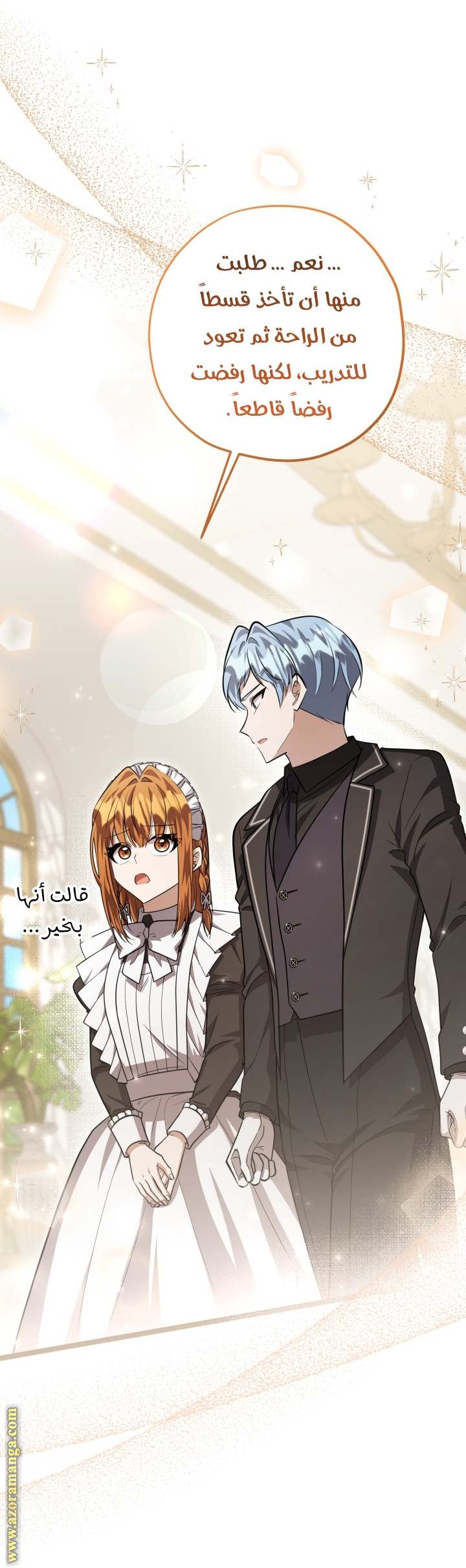 الصفحة 29