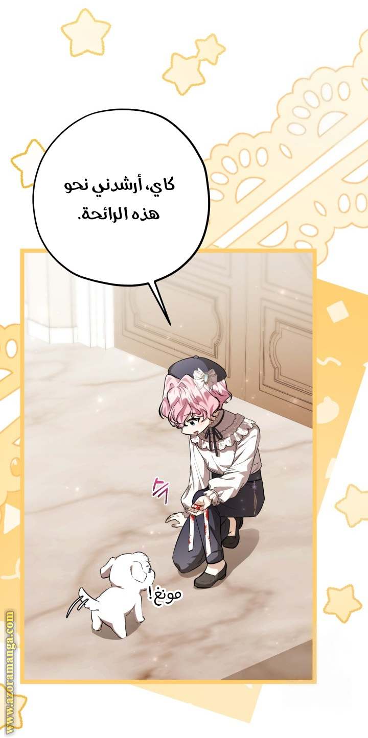 الصفحة 20